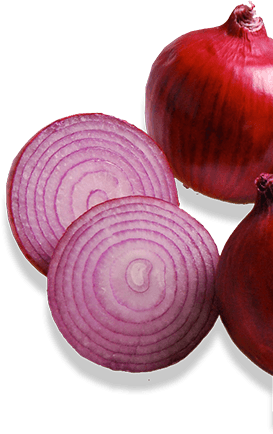 onion