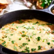 Cheesy Caramelized Onion Dip